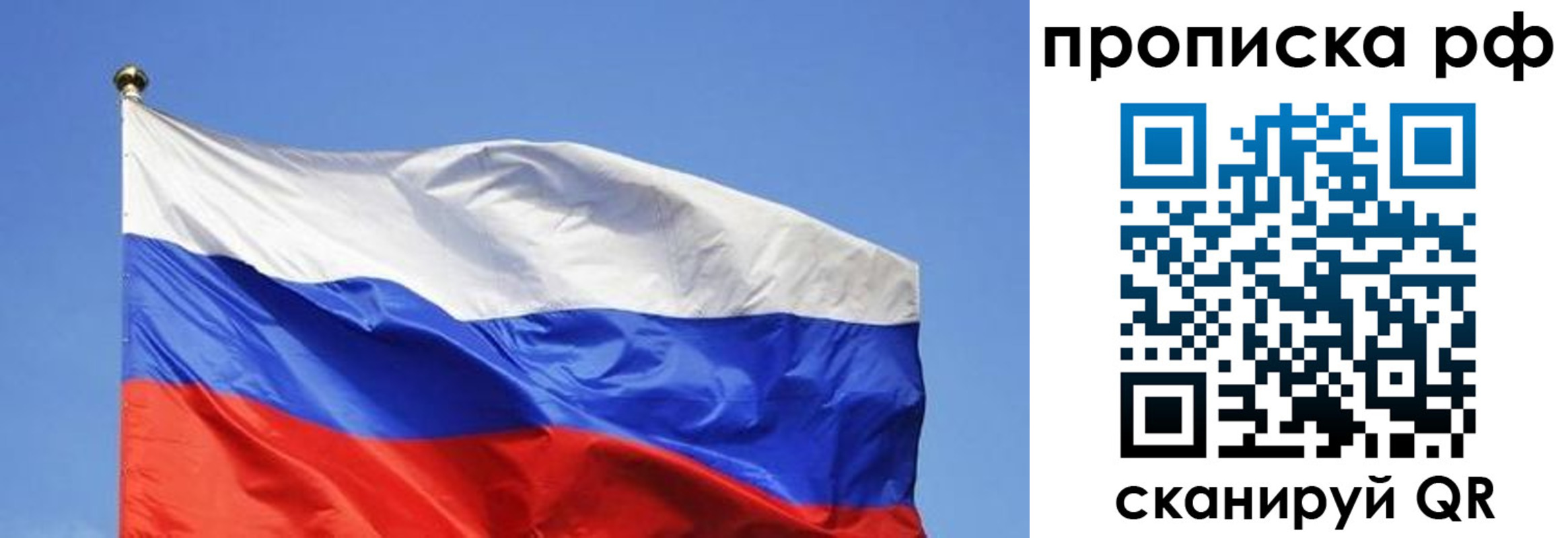прописка штамп в Владимире